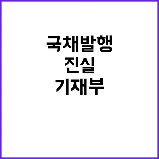 국채 발행 여부 기재부 사실과 다른 진실!