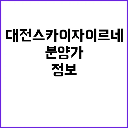 대전스카이자이르네 …