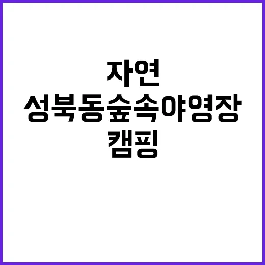 성북동 숲속야영장 …