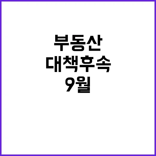 부동산 대책 후속법…