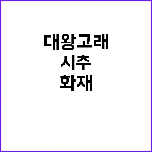 대왕고래 시추 50…