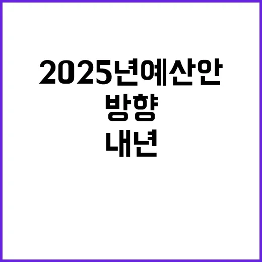 2025년 예산안 …