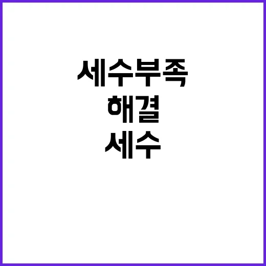 세수 부족 이자 부…