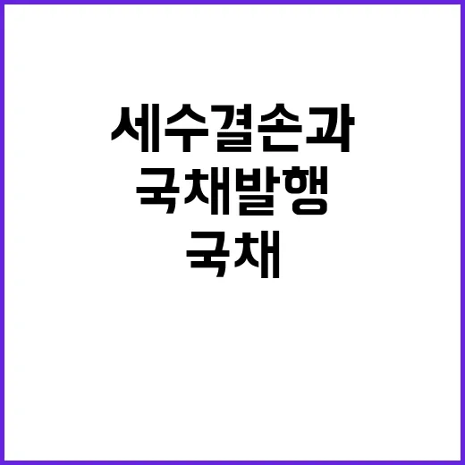 국채 발행 세수 결손과 관계 없는 이유는?