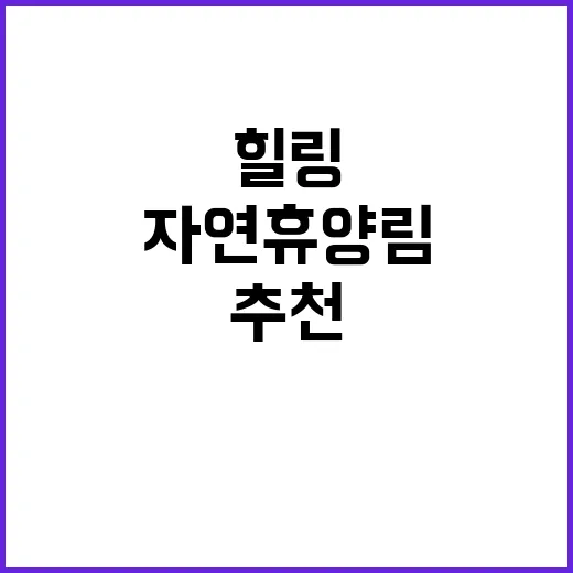 자연휴양림 추석 명절 힐링 장소로 추천!