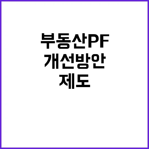 부동산 PF 제도개…