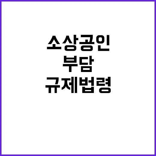 규제법령 소상공인 …