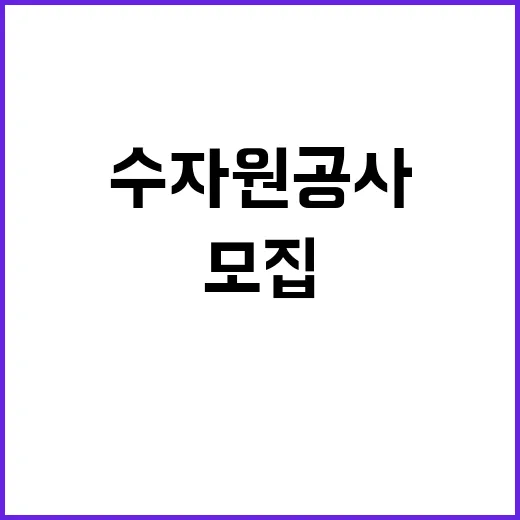 한국수자원공사 비정…