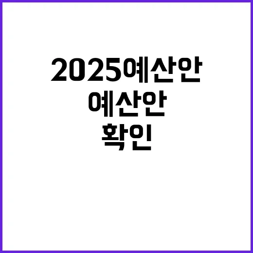 2025 예산안 살림살이에 큰 도움! 확인하세요!