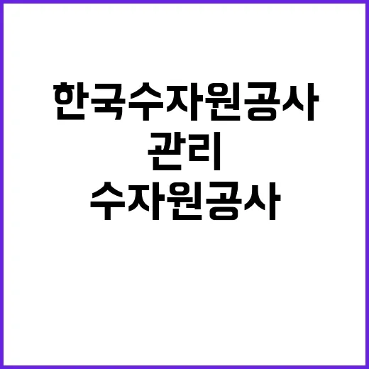 한국수자원공사 비정…