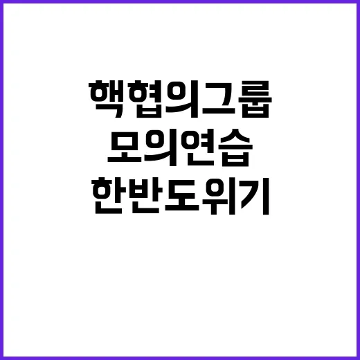 핵협의그룹 모의연습…