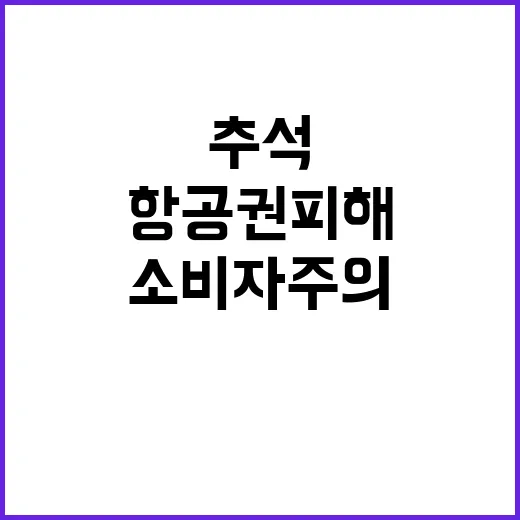 항공권 피해주의보 …