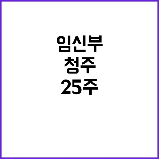 복지부 발표 청주 25주 임신부 안정 유지 중!