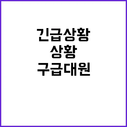 구급대원 병원 선정…