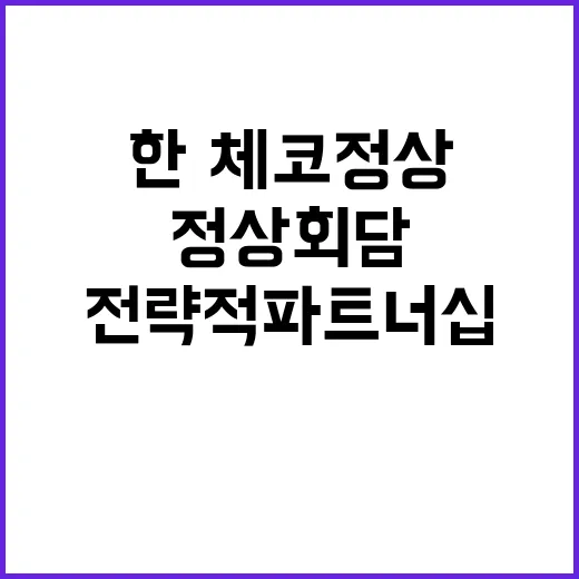 전략적 파트너십 한…