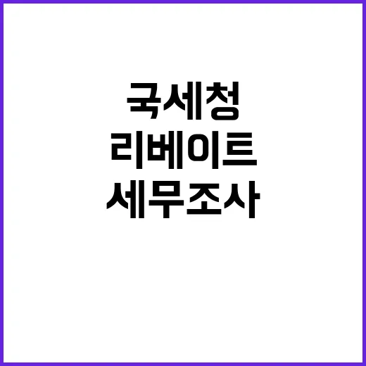 국세청 47개 업체 세무조사로 리베이트 적발!