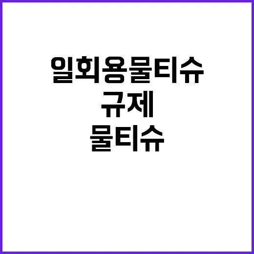 일회용 물티슈 환경부의 규제 부재에 대한 진실!