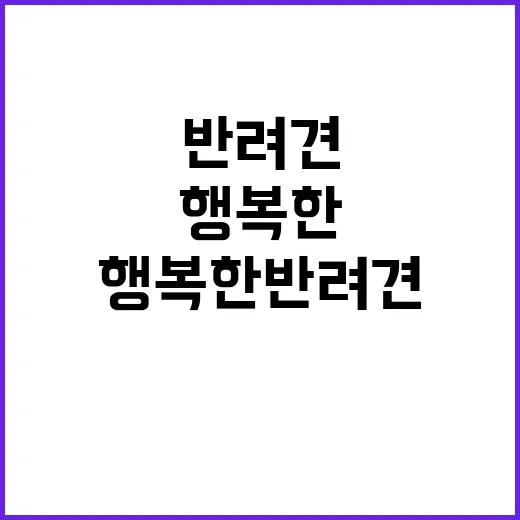 행복한 반려견 사람…