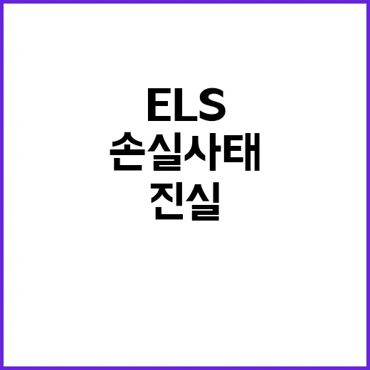 ELS 투자자 손실…