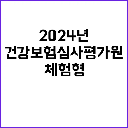 건강보험심사평가원 2024년 하반기 체험형 청년인턴 채용 공고