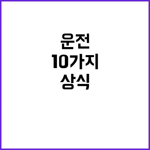 운전상식 뒤돌면 헷갈리는 10가지 주요 포인트!