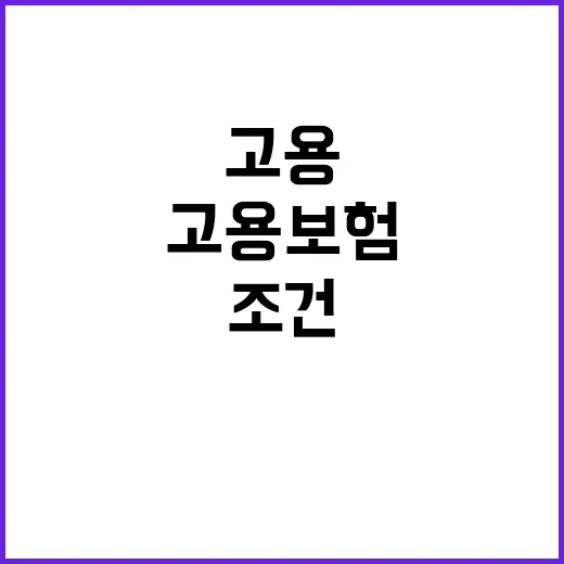 고용보험 가입 예술…