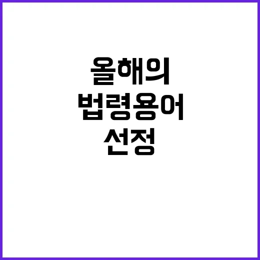 먼지 날림 통보 올…