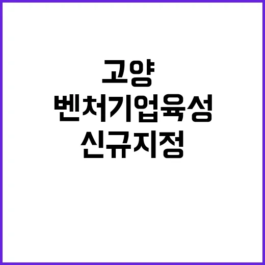 벤처기업 육성! 고양·화성시 신규 지정 소식 듣기