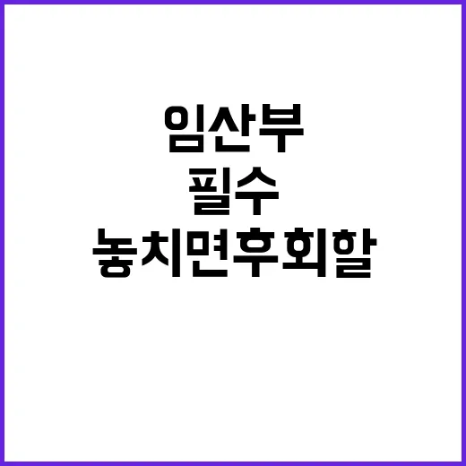 임산부 필수 아이템 놓치면 후회할 네 가지!