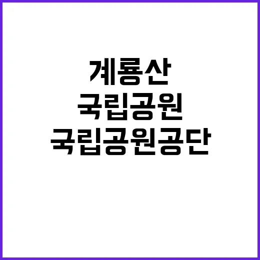 [계룡산] 계룡산국립공원 한시인력(환경관리) 채용 공고