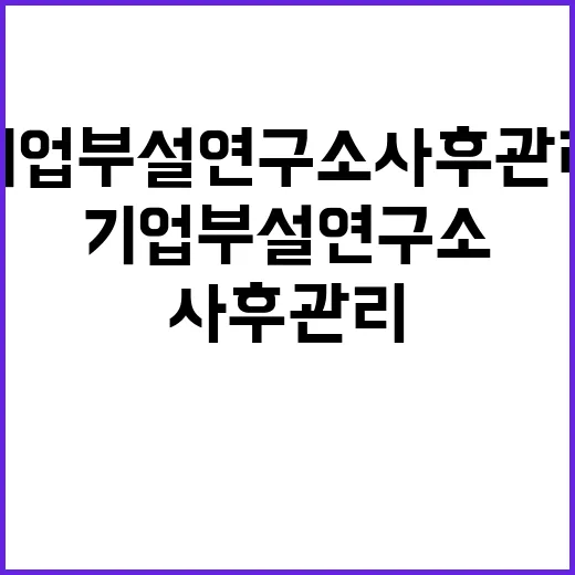 기업부설연구소 사후관리 강화에 따른 진실 공개!