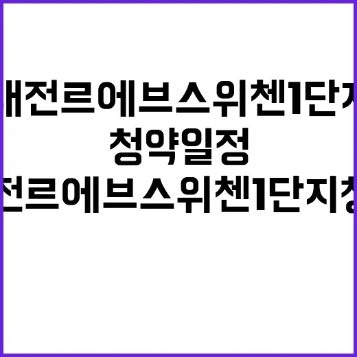 대전 르에브 스위첸…