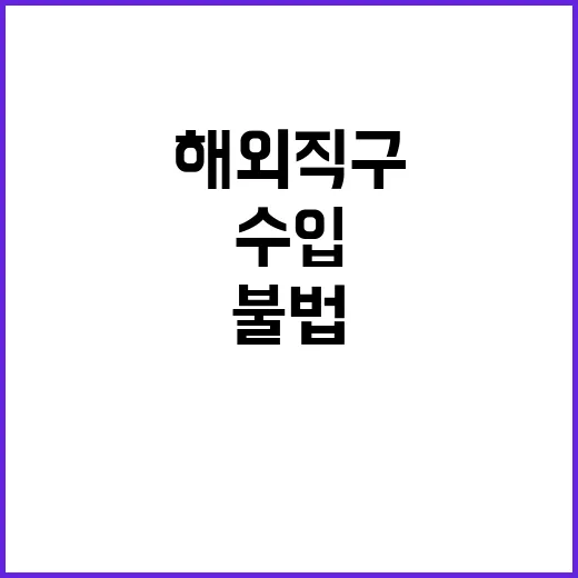 해외직구 단속 불법…