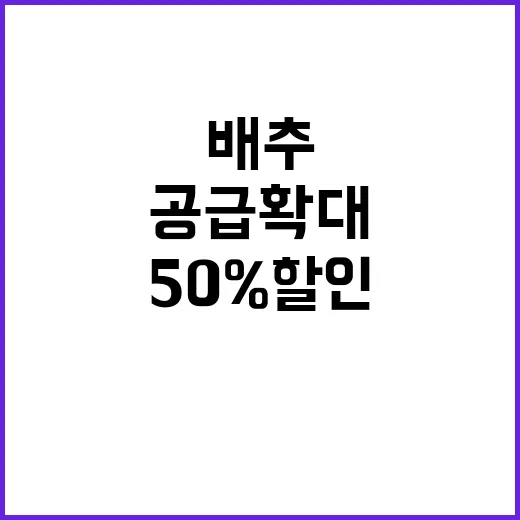 김장재료 50% 할인 배추 공급 확대 소식!