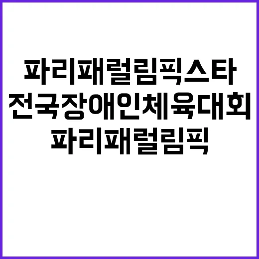 전국장애인체육대회 파리 패럴림픽 스타 모인다!