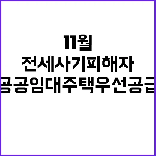 전세사기피해자 11…