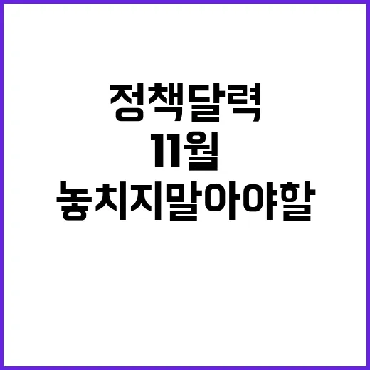 정책달력 11월 변…