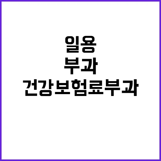 일용근로소득 건강보…