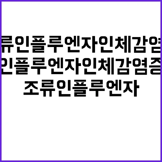 조류인플루엔자 인체…