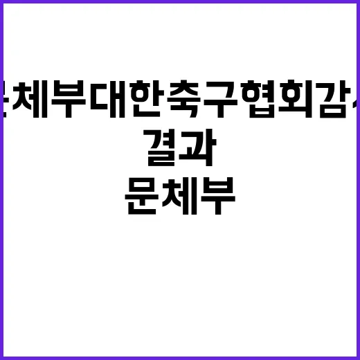 문체부 대한축구협회 감사 결과 공개 충격 사실!