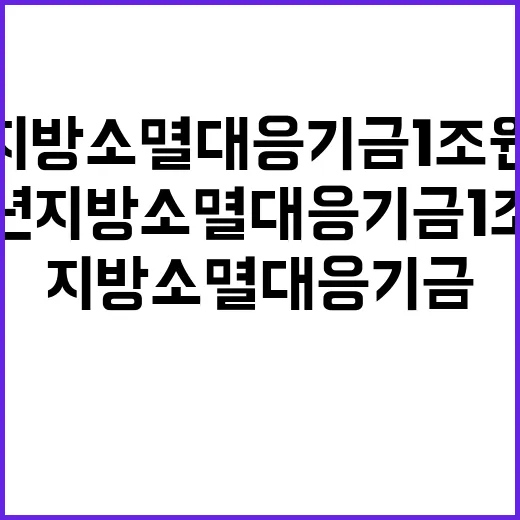 기금 내년 지방소멸…