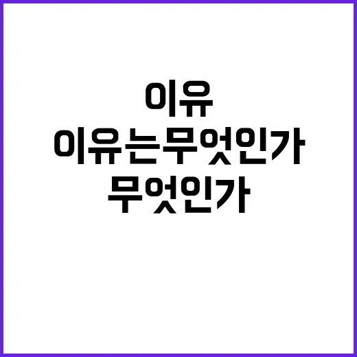 경제 체질 튼튼해지는 이유는 무엇인가?