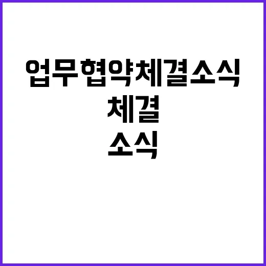 브라질 대한민국 저…