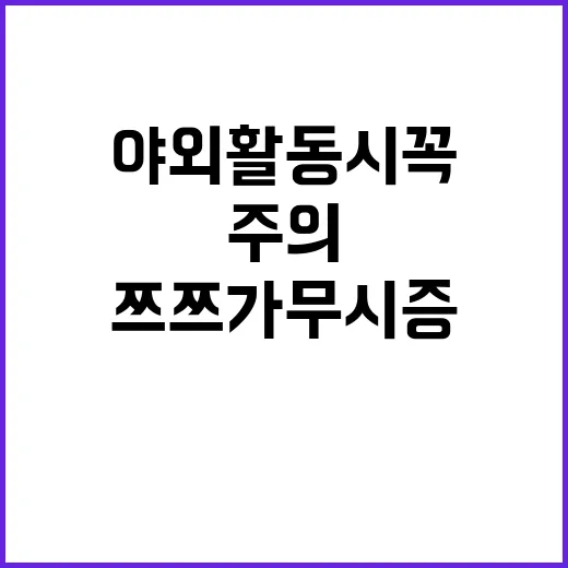 쯔쯔가무시증 폭증……