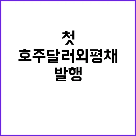 호주 달러 외평채 …