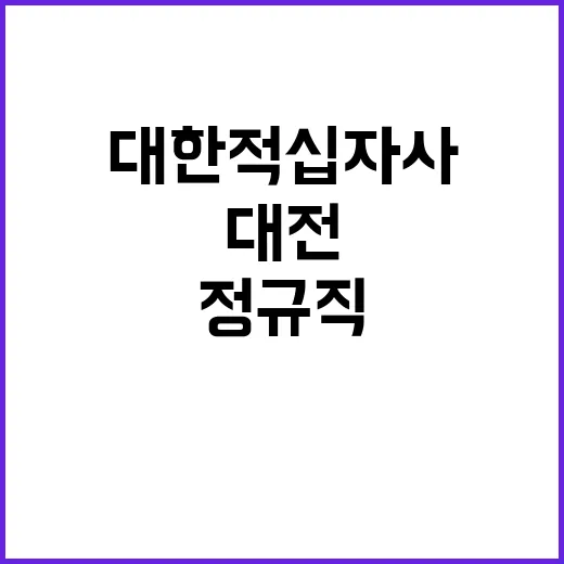 대한적십자사 정규직…