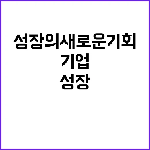 국민 기업 해외활동…