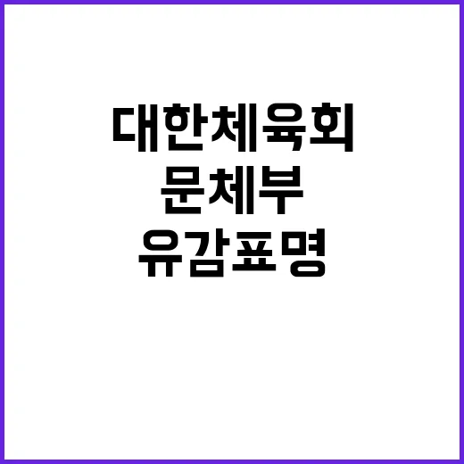 문체부 대한체육회 …