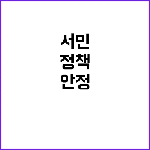 서민안정 정책 당신…