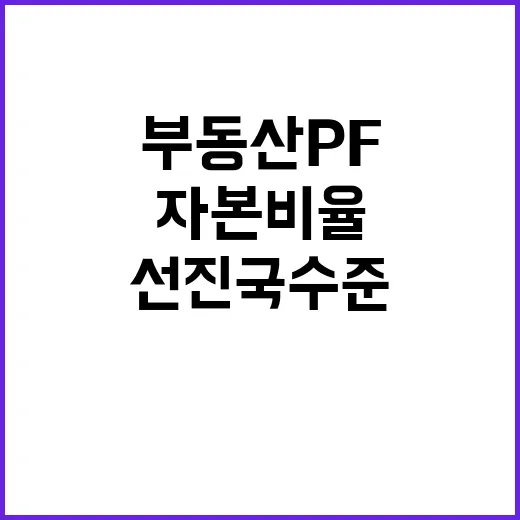 부동산 PF 자본비…